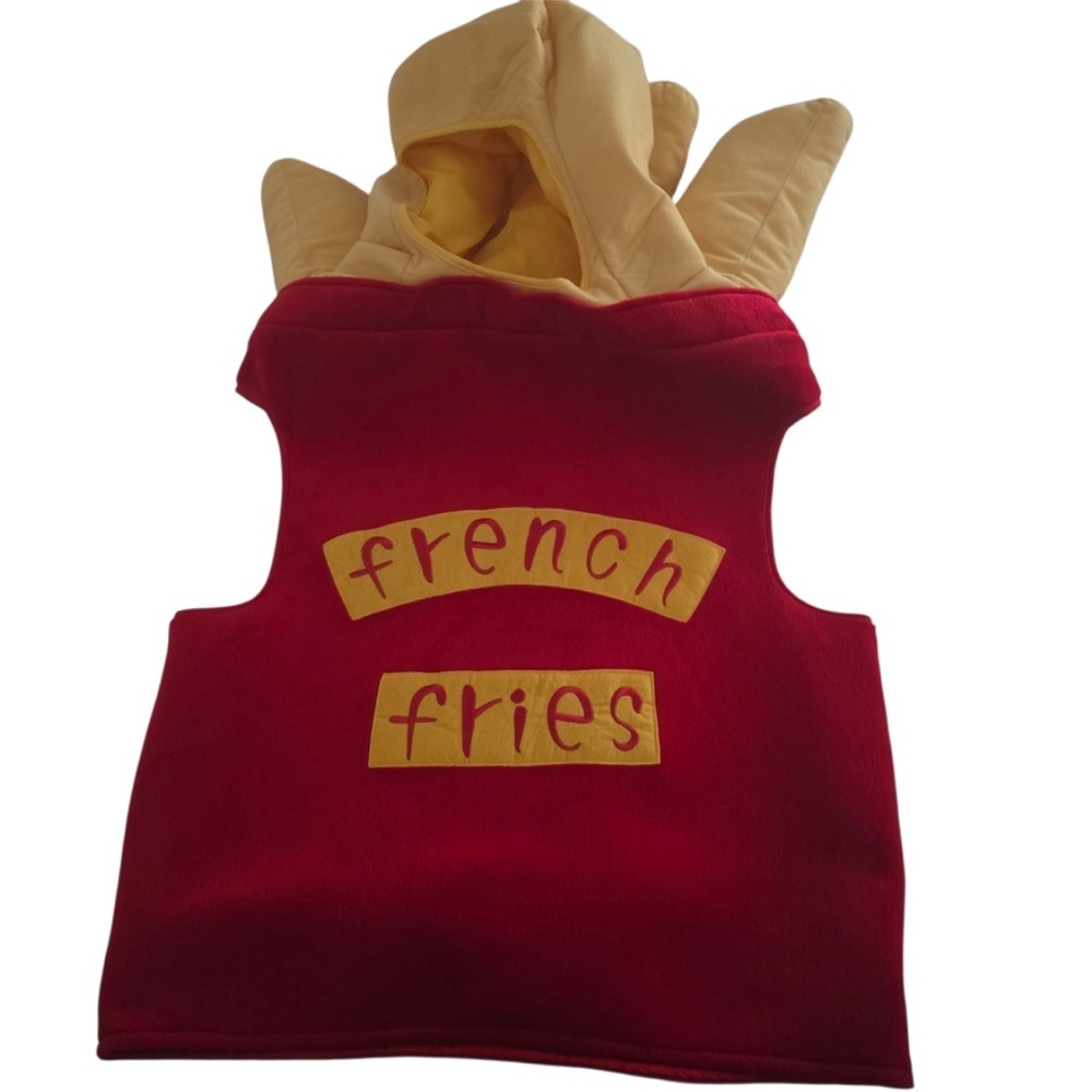 Pottery Barn TEEN Fries 🍟 costume
